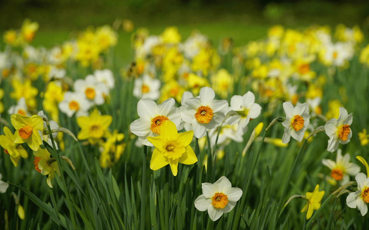 Explore the Outdoors This Spring in Finlayson, Minnesota